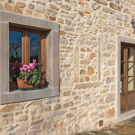 Villa Liz Tuscany, Private Pool, Hot Tub, Property Fenced, Pets Allowed Poppi Εξωτερικό φωτογραφία