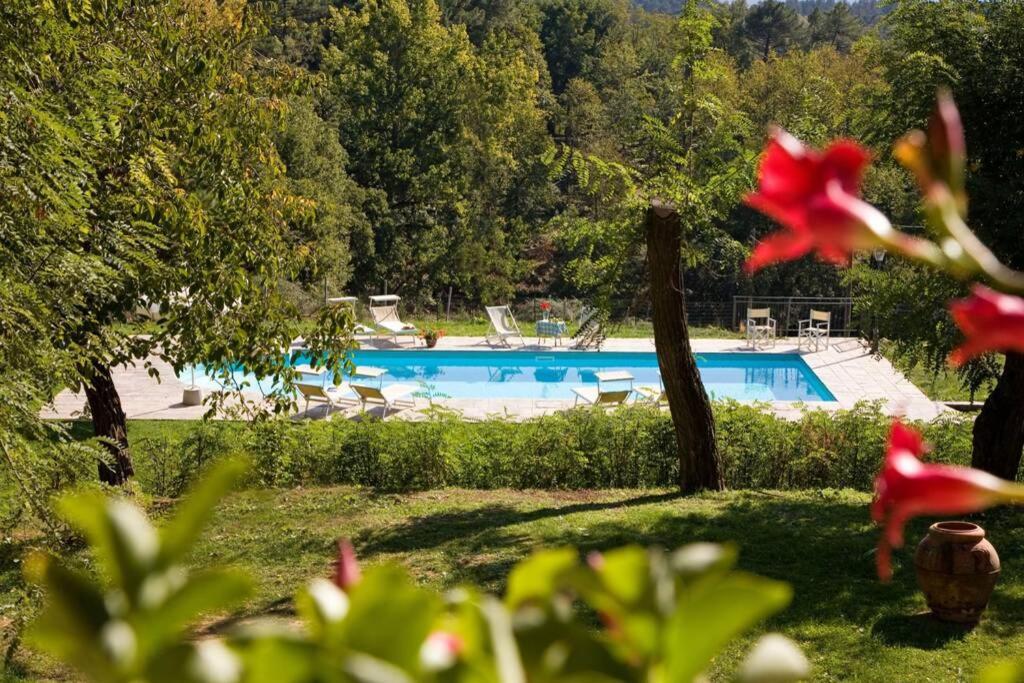 Villa Liz Tuscany, Private Pool, Hot Tub, Property Fenced, Pets Allowed Poppi Εξωτερικό φωτογραφία