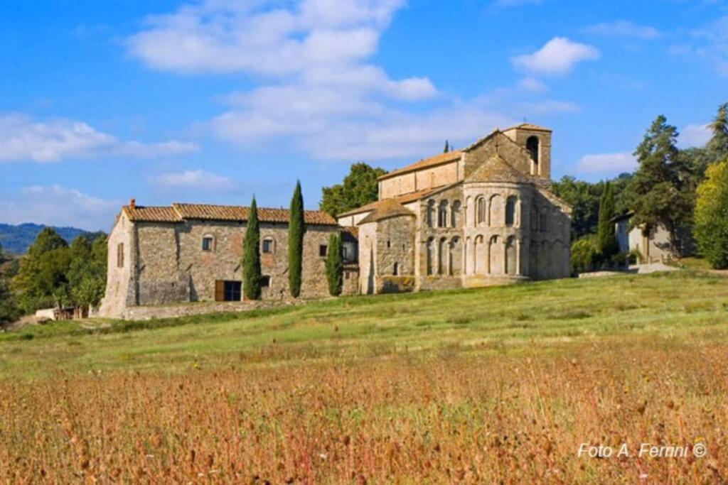 Villa Liz Tuscany, Private Pool, Hot Tub, Property Fenced, Pets Allowed Poppi Εξωτερικό φωτογραφία