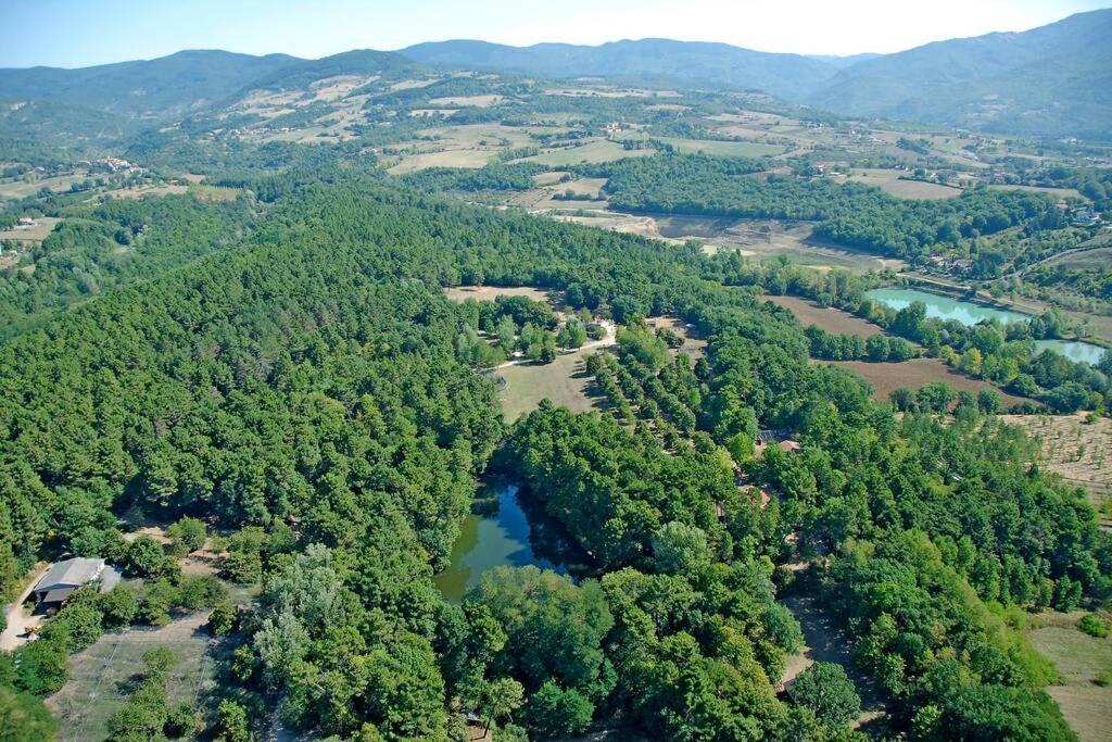 Villa Liz Tuscany, Private Pool, Hot Tub, Property Fenced, Pets Allowed Poppi Εξωτερικό φωτογραφία