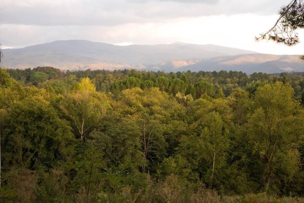Villa Liz Tuscany, Private Pool, Hot Tub, Property Fenced, Pets Allowed Poppi Εξωτερικό φωτογραφία
